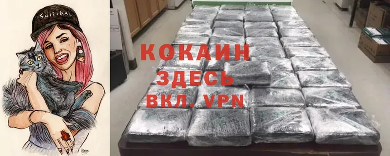 продажа наркотиков  Калуга  COCAIN 99% 